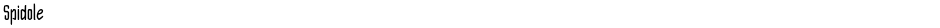 SpidoleDemo