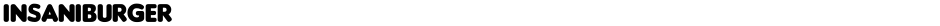 InsaniburgerDemo