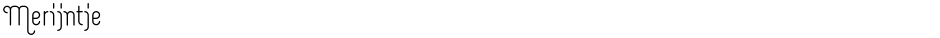 MerijntjeDemo