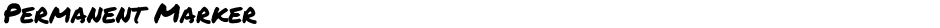 Permanent MarkerDemo