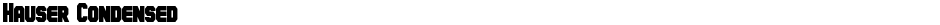 Hauser CondensedDemo