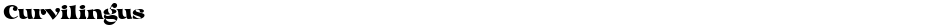 CurvilingusDemo