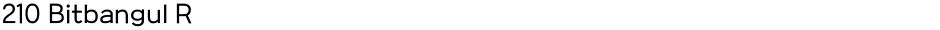210 Bitbangul RDemo