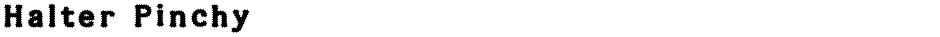 Halter PinchyDemo