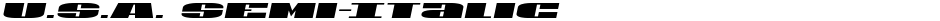 U.S.A. Semi-ItalicDemo