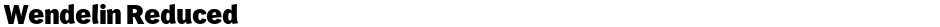 Wendelin ReducedDemo