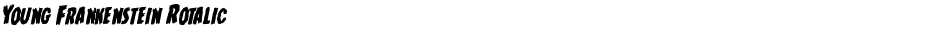 Young Frankenstein RotalicDemo