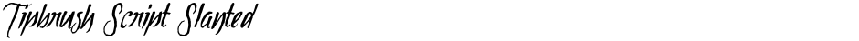 Tipbrush Script SlantedDemo