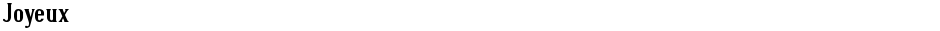 JoyeuxDemo
