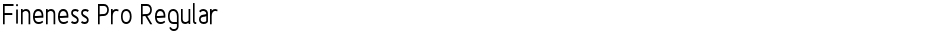 Fineness Pro RegularDemo
