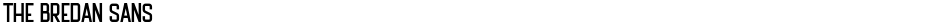The Bredan SansDemo