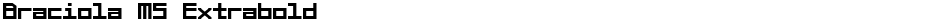 Braciola MS ExtraboldDemo