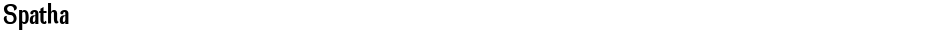 SpathaDemo