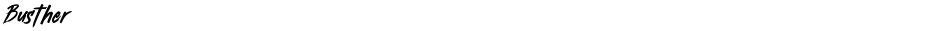 BustherDemo
