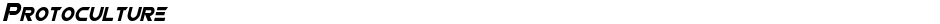 ProtocultureDemo
