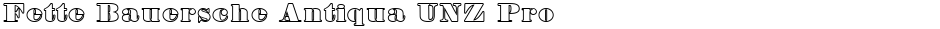 Fette Bauersche Antiqua UNZ Pro HollowDemo