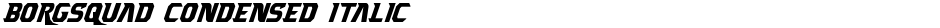 Borgsquad Condensed ItalicDemo