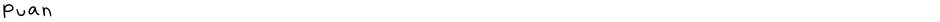 PuanDemo