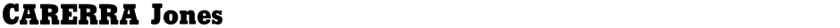 CARERRA JonesDemo
