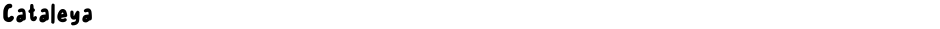 CataleyaDemo