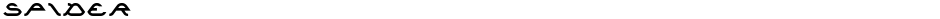 SPIDERDemo