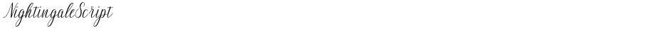NightingaleScriptDemo
