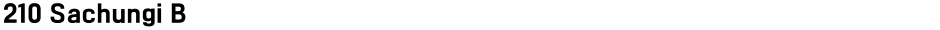 210 Sachungi BDemo