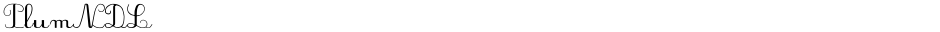 PlumNDLDemo