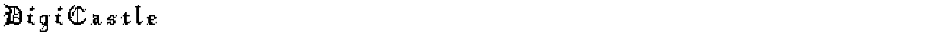 DigiCastleDemo