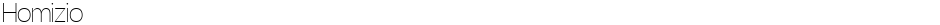 HomizioDemo
