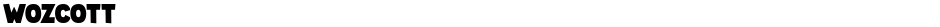 WozcottDemo