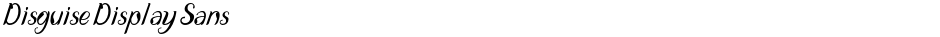 Disguise Display SansDemo