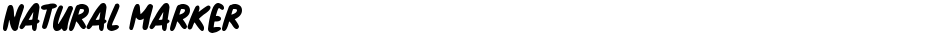 Natural MarkerDemo