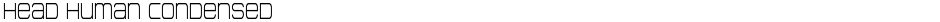 Head Human CondensedDemo