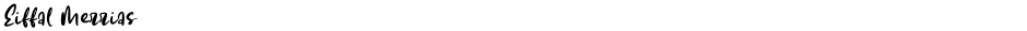 Eiffal MerriasDemo