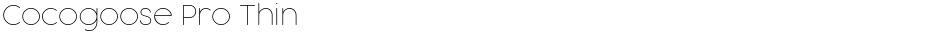 Cocogoose Pro ThinDemo