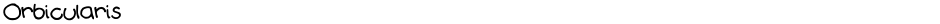OrbicularisDemo