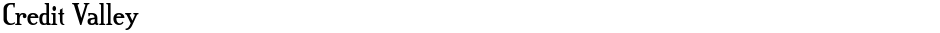 Credit ValleyDemo