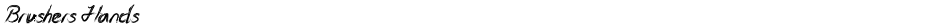 Brushers HandsDemo