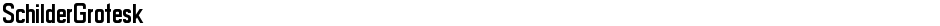 SchilderGroteskDemo
