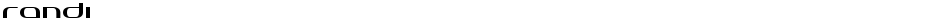 RandiDemo