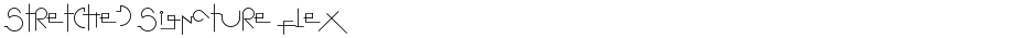 Stretched Signature FlexDemo