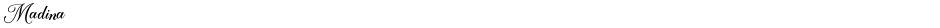MadinaDemo