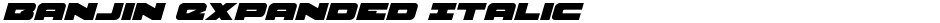 Banjin Expanded ItalicDemo
