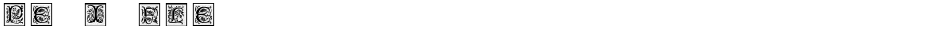 PetitFleurDemo