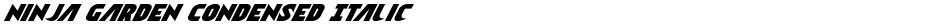Ninja Garden Condensed ItalicDemo