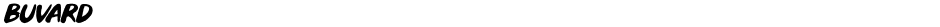 BuvardDemo