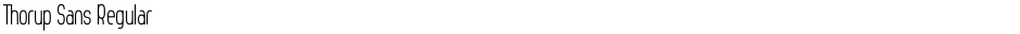 Thorup Sans RegularDemo