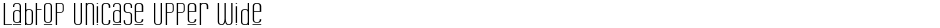 Labtop Unicase Upper WideDemo