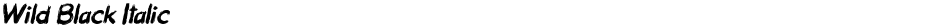 Wild Black ItalicDemo